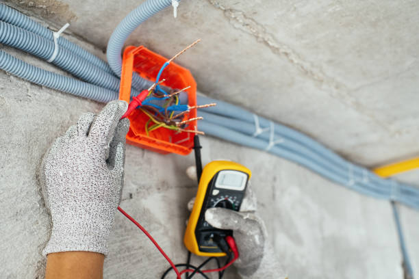 Best Local Electrician Companies  in Bovina, TX